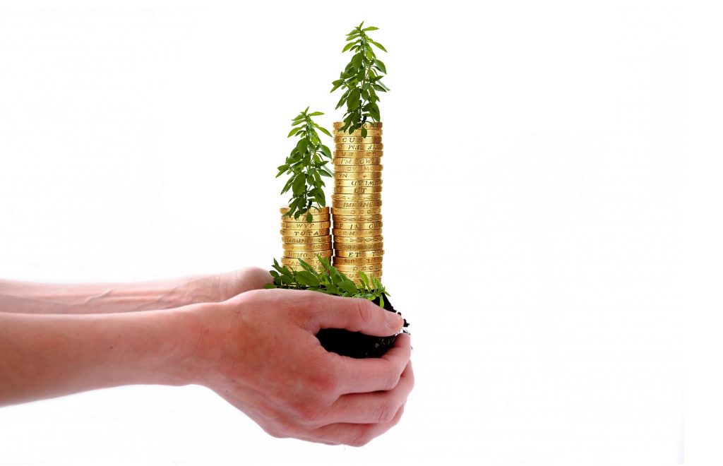 Aplica estos cinco tips de ahorro e inversión en 2021 – Hyenuk Chu Foto: Pixabay